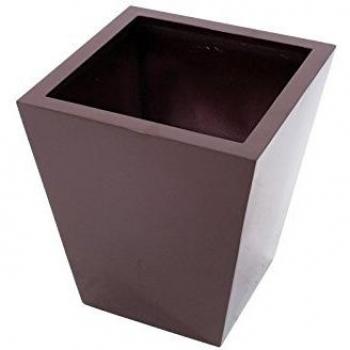 Cornice Europalms Leichtsin Basic-50, Brillante Marrone