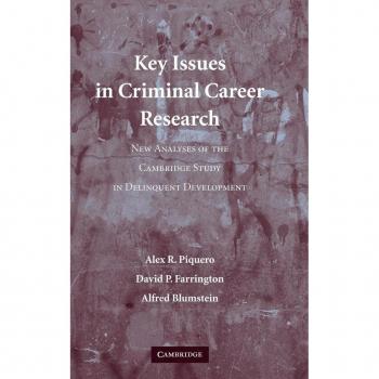 Key issues in criminal career research