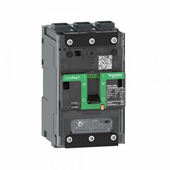C11B3TM100L Schaltgerät von Schneider Electric