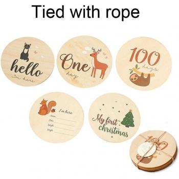 DIY Christmas Wooden Tag Craft Ornaments (5/12/17 pcs)