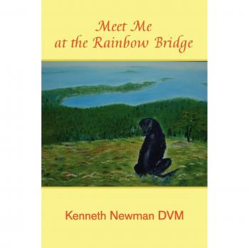 Meet Me at the Rainbow Bridge