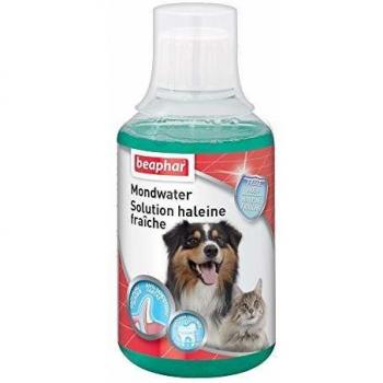 Solution dentaire haleine fraîche 250 ml