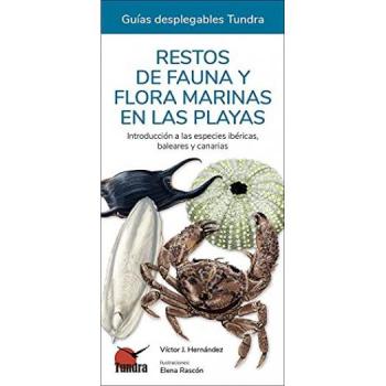 RESTOS DE FAUNA Y FLORA MARINAS EN LAS PLAYAS