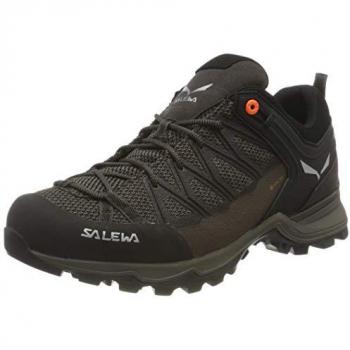 Trekkingschuhe Salewa Ms Mrn Trainer Lite Gtx GORE-TEX 61361-7512 Braun