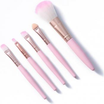 10 Pcs Makeup Brush Set