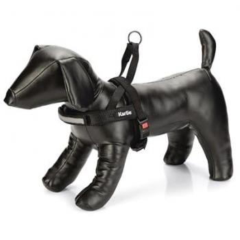 Karlie Premium Hundefutter-Halsband & Leine Set – sportliches Geschirr, 105 cm