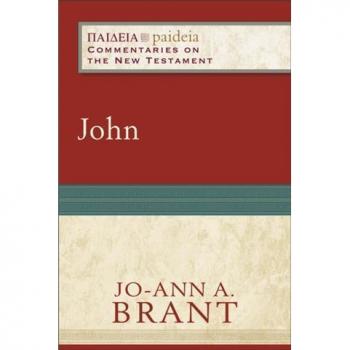 Vitalsource Technologies, Inc. Commentaries on the New Testament: John