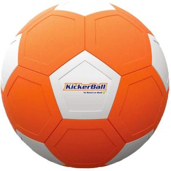 Krachtige Boogkicker