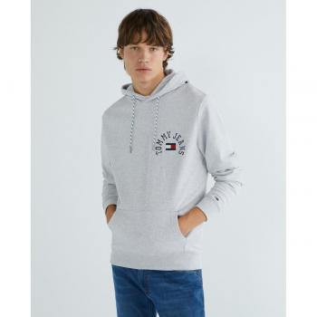 Sudadera Hombre Tommy Hilfiger Logo Arched Gris