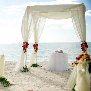BIT.FLY Bitfly Organza 10M x 1.35M Ivoire