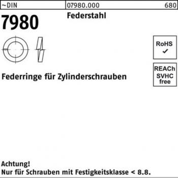 Rondella Elastica Din 7980 per Vite Cylindrica 16 mm Acciaio