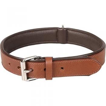 Collar de Flamingo para perros en Arizona