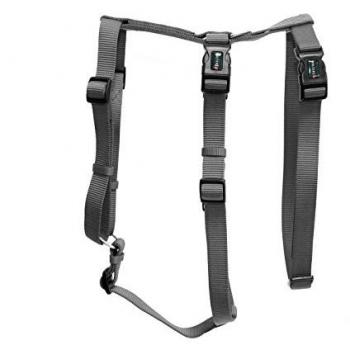 Wolters Imbracatura Professionale No Escape XL 70‑100 cm X 2,5 cm Grafite – Set Collare + Guinzaglio
