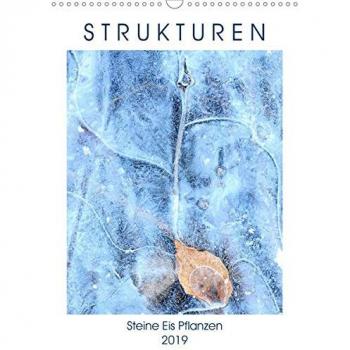Strukturen - Steine, Eis, Pflanzen