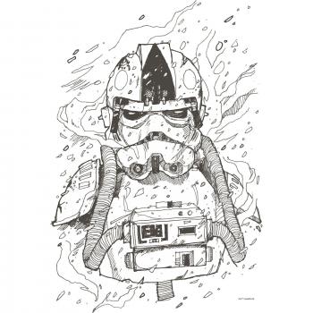 Arte Komar: Retrato de Piloto Star Wars 50x70