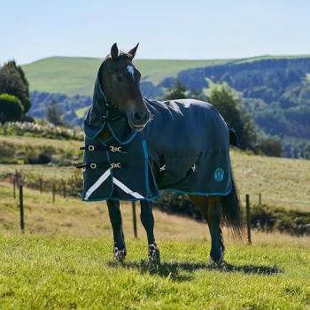 Black Royal Scot 200g Light-Medium Neck Turnout Rug – 5'9