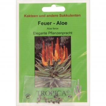 Semi di Aloe Ferox - 20 semi
