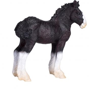 Cavallo Shire Mojo