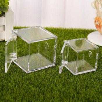 Ant Habitat Acrylic Feeding Box 6x6x6 cm
