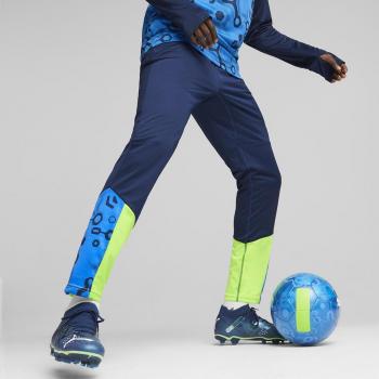 Pantalon sport Puma Individual Cup