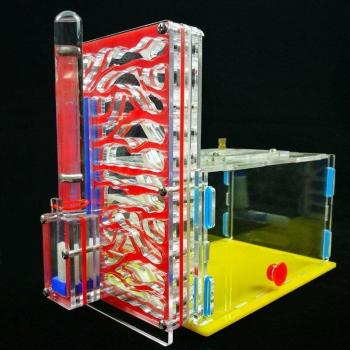 Ant Farm