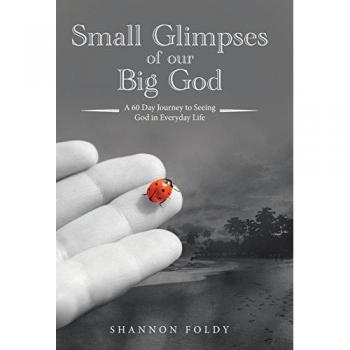 Small Glimpses of Our Big God : A 60 Day Journey to Seeing God in Everyday Life