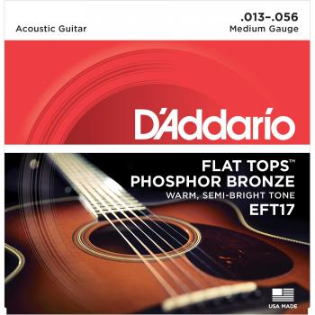 D'Addario EFT17 Flat Tops Medium