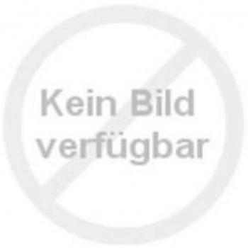 Torque WTQ 5000 VAN-Transporter Winterreifen 215/65 R15C 104R