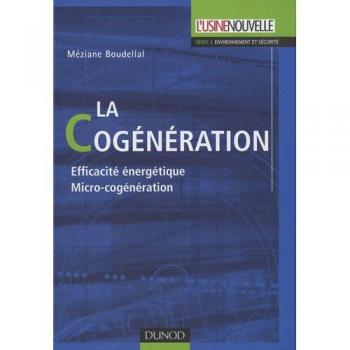 La cogénération - Méziane Boudellal