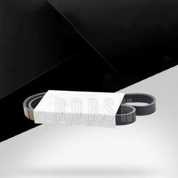 Correa de generador para BMW E46 316Ci M43