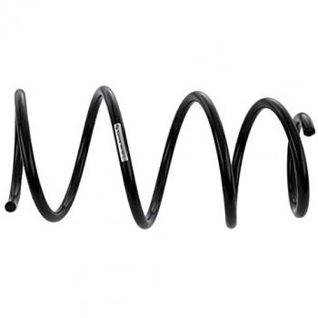 Muelle helicoidal SACHS 993 789