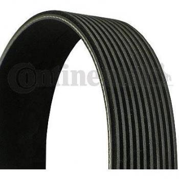 CONTINENTAL CTAM Cinghia V-ribbed 10PK1570