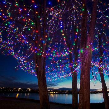 AUFUN LED Lichterkette Außen Bunt – Außenlichterkette Weihnachtsbeleuchtung Wasserdicht IP44 mit 8 Leuchtmodi – für Hochzeit,Party,Garten (80m,800LEDs,Bunt)