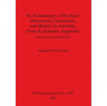 An Archaeology of the Oasis: Domesticity, Interaction, and Identity in Antofalla, Puna de Atacama, Argentina (British Archaeological Reports British Series, Band 1689)