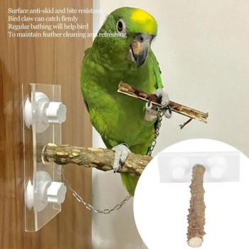 25CM Wooden Bird Perch with Suction Cup