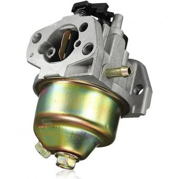 Carburateur voor MTD Troybilt Grasmaaier Motor