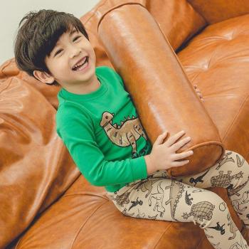 Boys Cotton Blend Dinosaur Print Thermal Outfit - Two-Piece Set