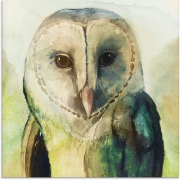 Artland Glasbild Eule I, braun, 50x50cm