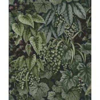 Living Wall Tropical Leaves Foliage Botanical Leaf Jungle Wallpaper