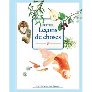 Petites leçons de choses