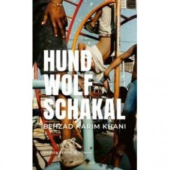Hund Wolf Schakal