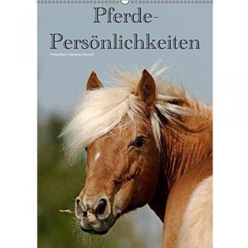 Pferde-Persönlichkeiten - ausdrucksstarke Gesichter verschiedener Pferderassen