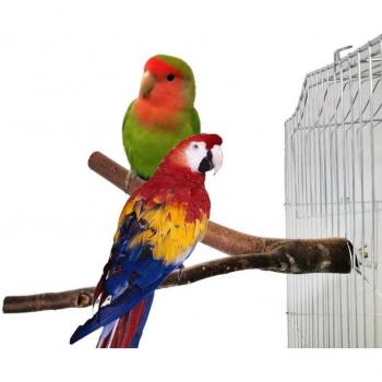 2er Set Holzspielzeug für Vögel mit Sitzstange