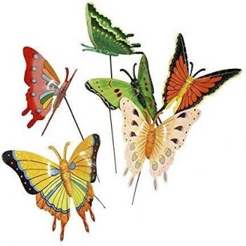 Bunte Blütenflügel Schmetterling