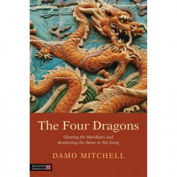 Vitalsource Technologies, Inc. Four Dragons