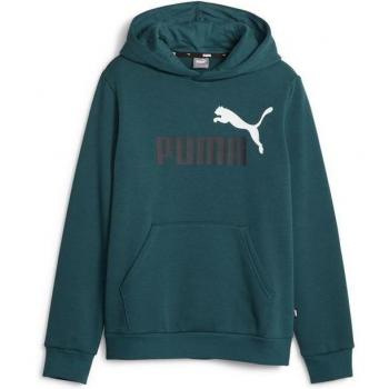 Puma. Sudadera con Capucha Essentials+ Two-Tone Big Logo verde