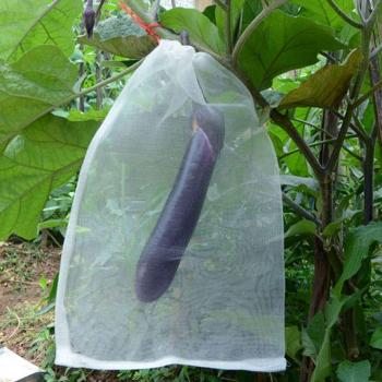 100pcs Insect-Proof Garden Netting Bags