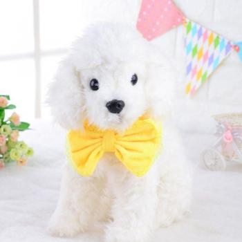 Foulard de douche en dentelle pour animaux