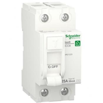 Int. Diff. Resi9 Rccb 2P 25A30Ma Ac