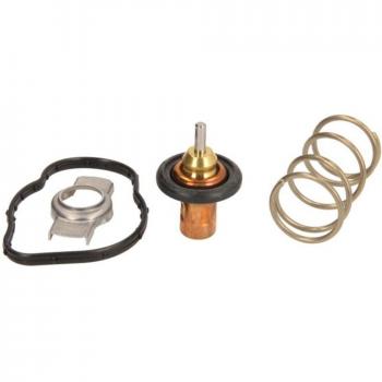 Termostato refrigerante Hans Pries 701 892
